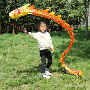 儿童老人健身龙甩龙甩彩带健身舞龙空竹龙龙鳞龙彩条龙学校广场