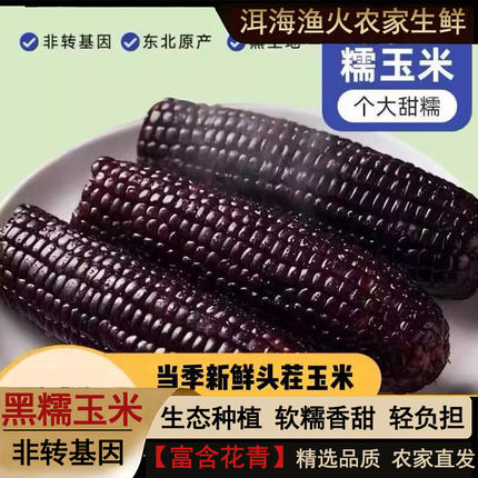 正宗东北黑土地黑糯玉米棒段软糯香甜粘苞米整箱真空包装优质粗粮