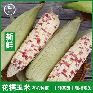 9斤_有机种植非转基因花糯玉米新鲜现摘带皮生的香甜黏黑白非东北