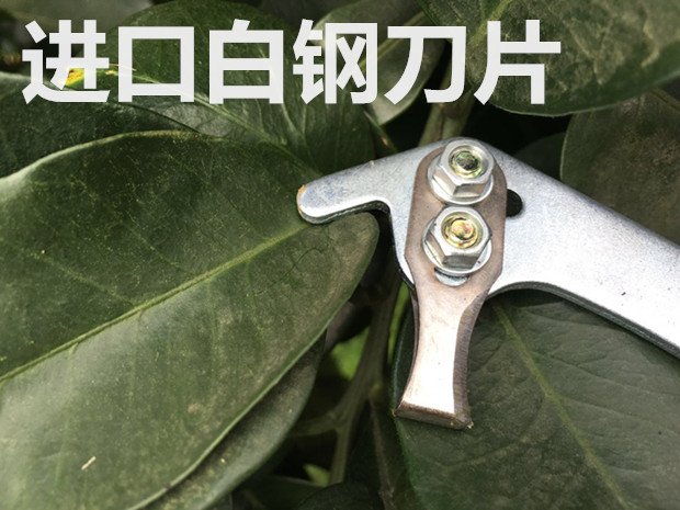 果树环剥蜜柚树环割剪环剥器荔枝树柑橘剥皮刀子枣树开甲工具包邮