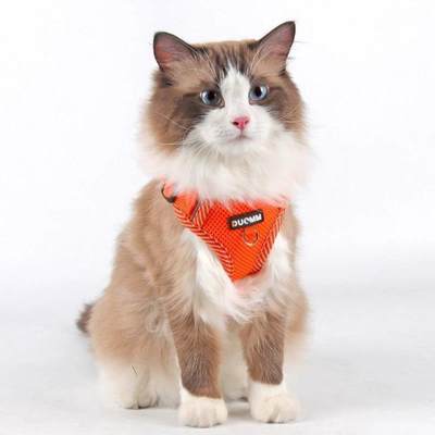 猫咪牵引绳防挣脱外出专用猫绳子宠物胸背带链子可调节布偶遛猫.