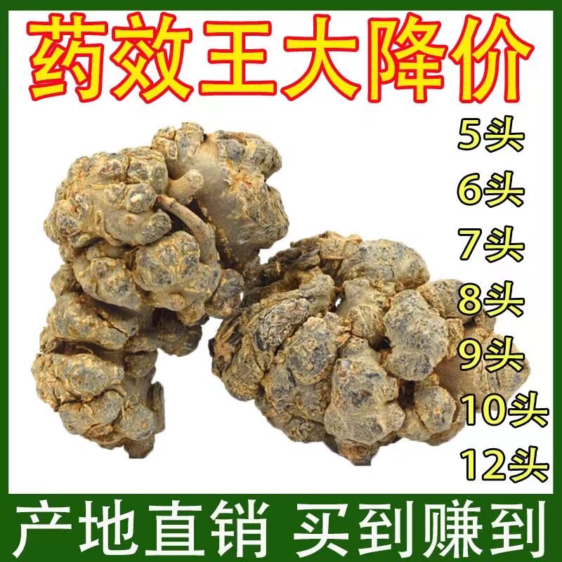 云南文山春三七头5头6头8头10头12头产地直销正品田七头批发