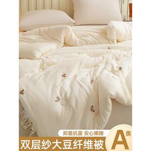 卷进云朵里｜A类母婴级双层纱大豆纤维被春秋被加厚保暖冬被被芯