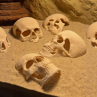 DIY定制-爬宠仓鼠建筑影视游戏周边水族躲避屋鱼缸造景微景观