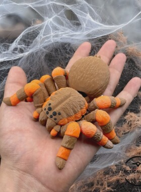DIY定制-Tarantula 捕鸟蛛 仿生细节逼真模型全关节可动仿生科教