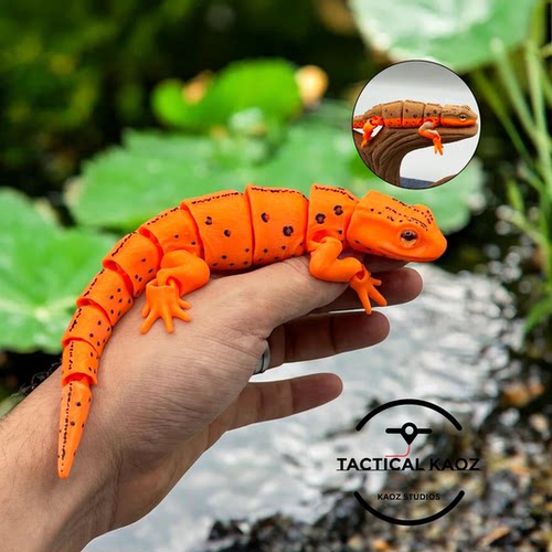 DIY定制-Eastern Red Spotted Newt 东美红斑点蝾螈 关节可动模型