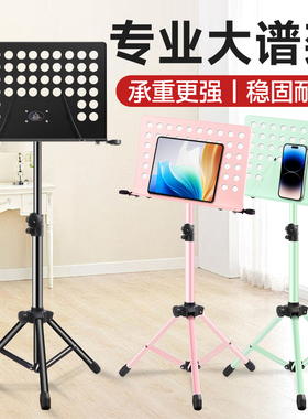 PTNOKA乐谱架谱台便携曲谱家用折叠支架子吉他琴谱古筝提琴电吹管