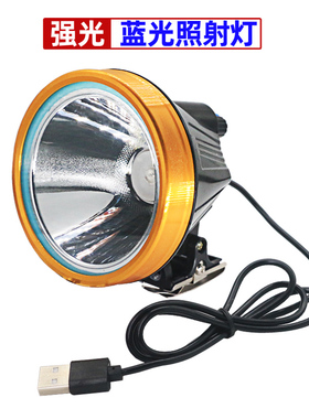 强光无极调光夜钓头USB灯充电宝5V外接矿灯头45w蓝光钓鱼灯
