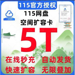 【自动发卡】115空间卡5TB115扩容卡可叠加长期有效非115会员年
