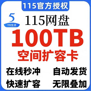 115空间卡100T115网盘扩容100TB空间卡永久容量可叠加非115会年员