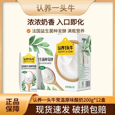 认养一头牛原味酸奶整箱