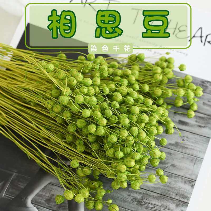 相思豆干花花束真花客厅装饰摆设宿舍情人节生日礼物满天星桌面