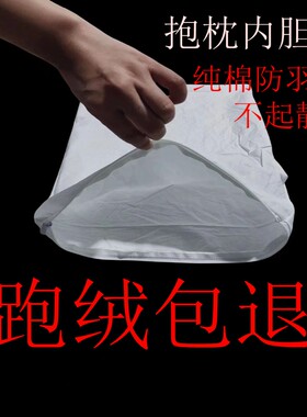 沙发白布套抱枕套内胆