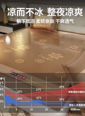 南极人2026新款凉席全包围防滑藤席双人空调席子可折叠冰丝软席子