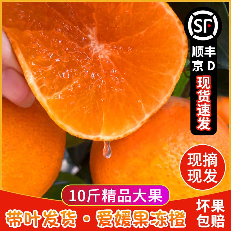 【顺丰包邮高回购】高品质果冻橙