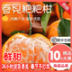 丑桔子粑粑柑新鲜孕妇水果精选杷杷柑 四川春见耙耙柑当季 顺丰 包邮