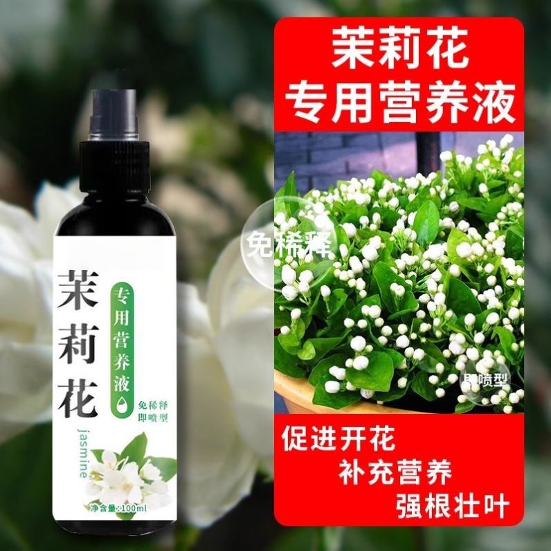 茉莉花营养液家用防干枯黄叶不开花僵苗生长慢黑叶枝条细软烂叶