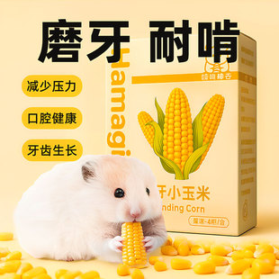 仓鼠磨牙玉米棒金丝熊营养零食龙猫花枝鼠专用磨牙神器造景用品