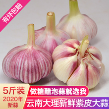 云南大蒜头5斤正宗紫皮大蒜红皮大蒜新鲜嫩大蒜优质非干蒜头新蒜3