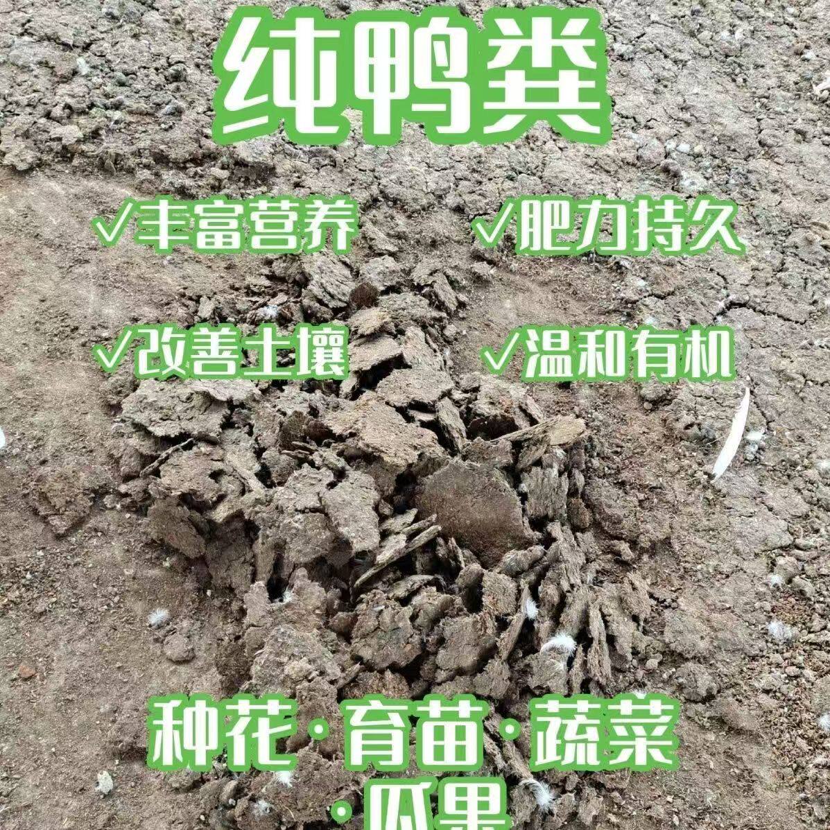 纯干鸭粪天然有机肥生态农业高效植物装饰植物养料
