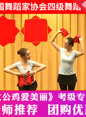 手绢花四级舞蹈考级专用跳舞手帕大公鸡爱美丽东北二人转秧歌手绢