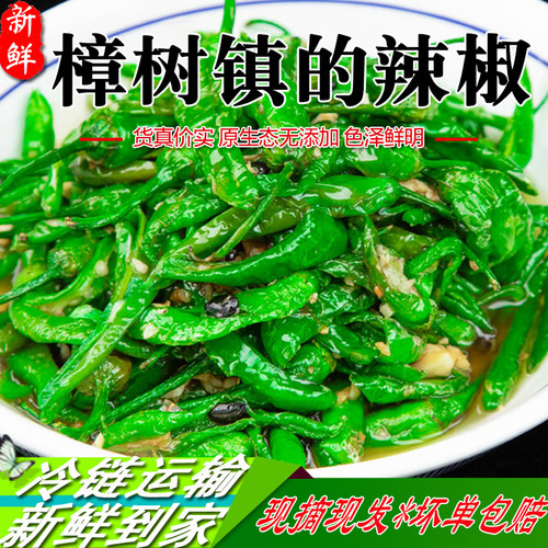 正宗樟树镇辣椒新鲜富硒农产品薄皮椒肉厚