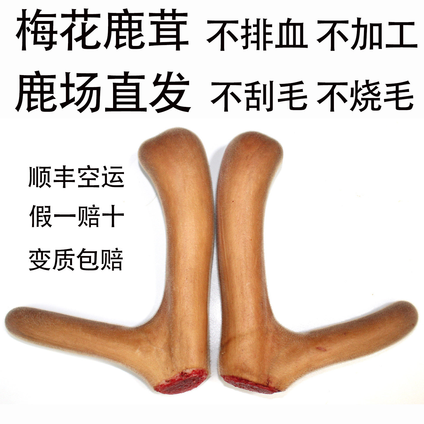 吉林梅花鹿鹿茸整枝新鲜带血头茬二杠全蜡正品泡酒煲汤血片鲜鹿茸