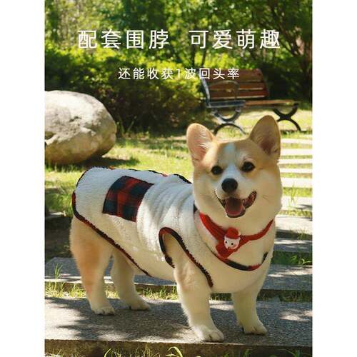 柯基柴犬比熊泰迪狗狗衣服季毛绒保暖背心厚款宠物0816k