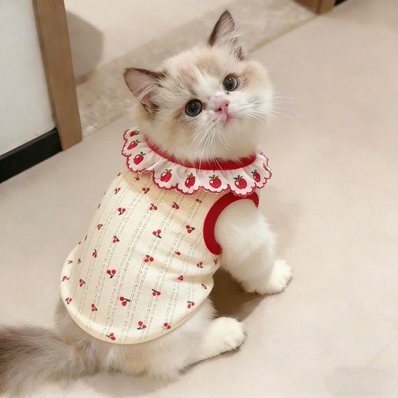 可爱小猫咪狗狗防掉毛洋派衣服春夏薄款宠物德文缅因金渐层0816k图片