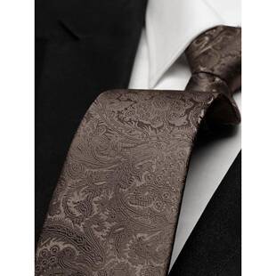 领带男士品牌灰色商务正装高级感棕色咖色拉链式免打结懒人0308k
