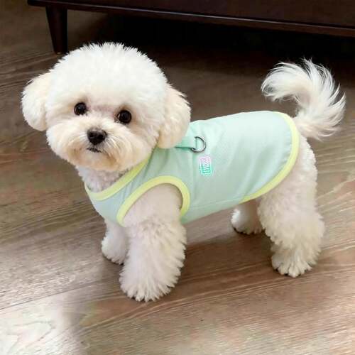 狗狗衣服夏季薄款冰丝背心透气泰迪比熊博美小型犬猫咪宠物0816k