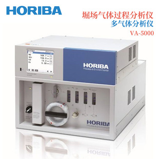 议价日本HORIBA堀场气体过程飞分析仪多气体分析仪VA 5000WM 5000