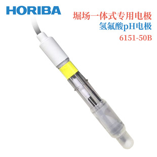 日本HORIBA堀场一体式 100B 专业电极氢氟酸PH电极6151