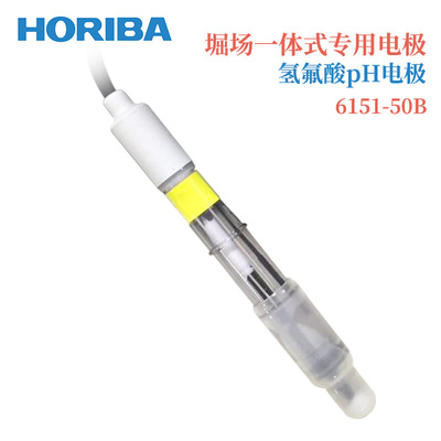 日本HORIBA堀场一体式专