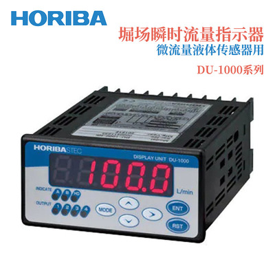 日本HORIBA堀场瞬时流量