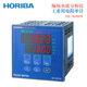 960RW HORIBA堀场水质分析仪工业用电阻率计HE 议价日本原装 正品
