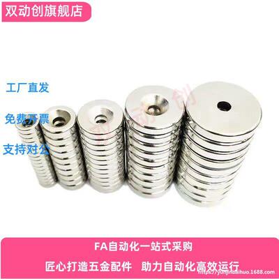 BLS65/BLS66-A8/A10/A12/A15/A20-T2/T3/T4/T5/T6 螺栓固定型磁铁