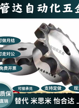 SP50B/ssp40B/BSP60B链轮C-SPB08B/06B/05B/SPA35B-20-40/08B/19