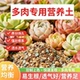 工厂直销多肉专用颗粒土多肉营养土肉肉专用土壤泥炭花土盆栽植物