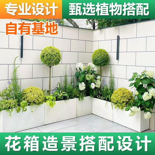 庭院造景布置花镜植物绿植