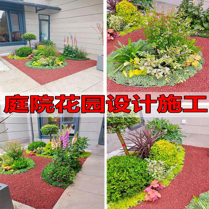花镜植物矾根亮晶女贞庭院四季