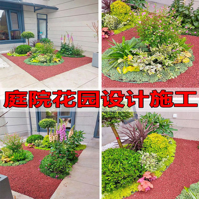 花镜植物矾根亮晶女贞庭院四季