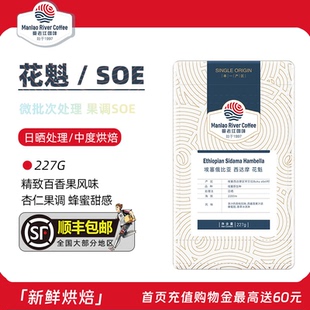 新鲜烘焙227g 埃塞尔比亚古吉罕贝拉 曼老江 花魁SOE咖啡豆