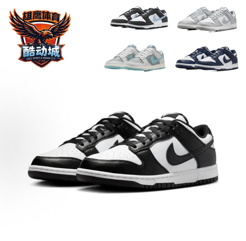 Nike Dunk 合成革 LOW RETRO 舒适薄底 低帮板鞋HF5441-100