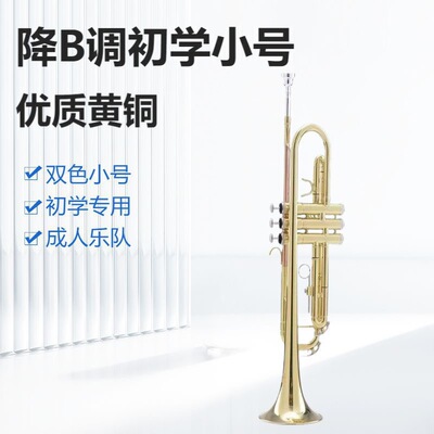降B调黄铜镀金初学入门小号