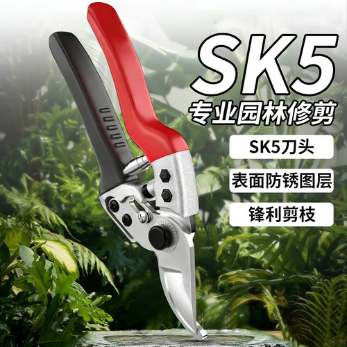 修枝剪刀园林花艺修剪树枝剪刀果树剪刀粗大花剪园艺剪子专用工具