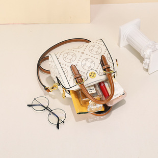 女2025新款夏波士顿枕头包斜挎包时尚老花手提包小众百搭