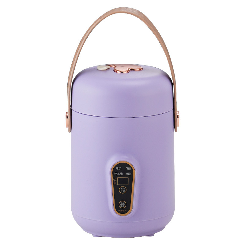 小电炖锅煮粥神器家用多功能迷你便携式炖煮锅煲汤熬粥电