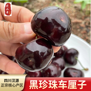 四川雅安汉源车厘子黑珍珠大樱桃套袋当季新鲜水果特大果顺丰空运