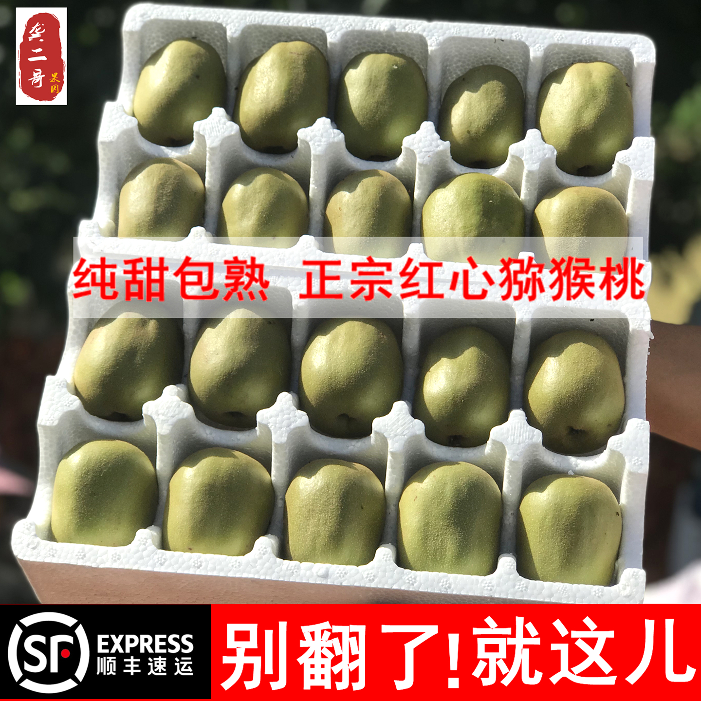 顺丰高山蒲江红心猕猴桃包甜包熟